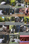 第五回　福岡女留学生野外小剛を訓練